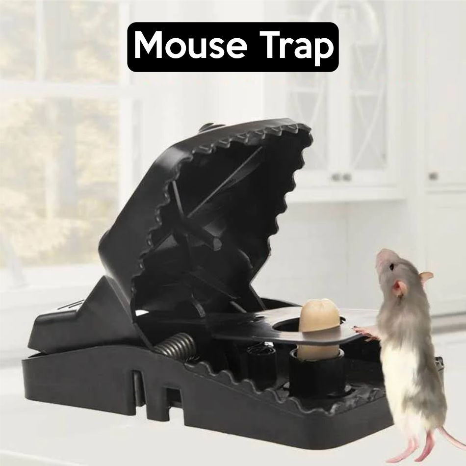 Mouse Trap
