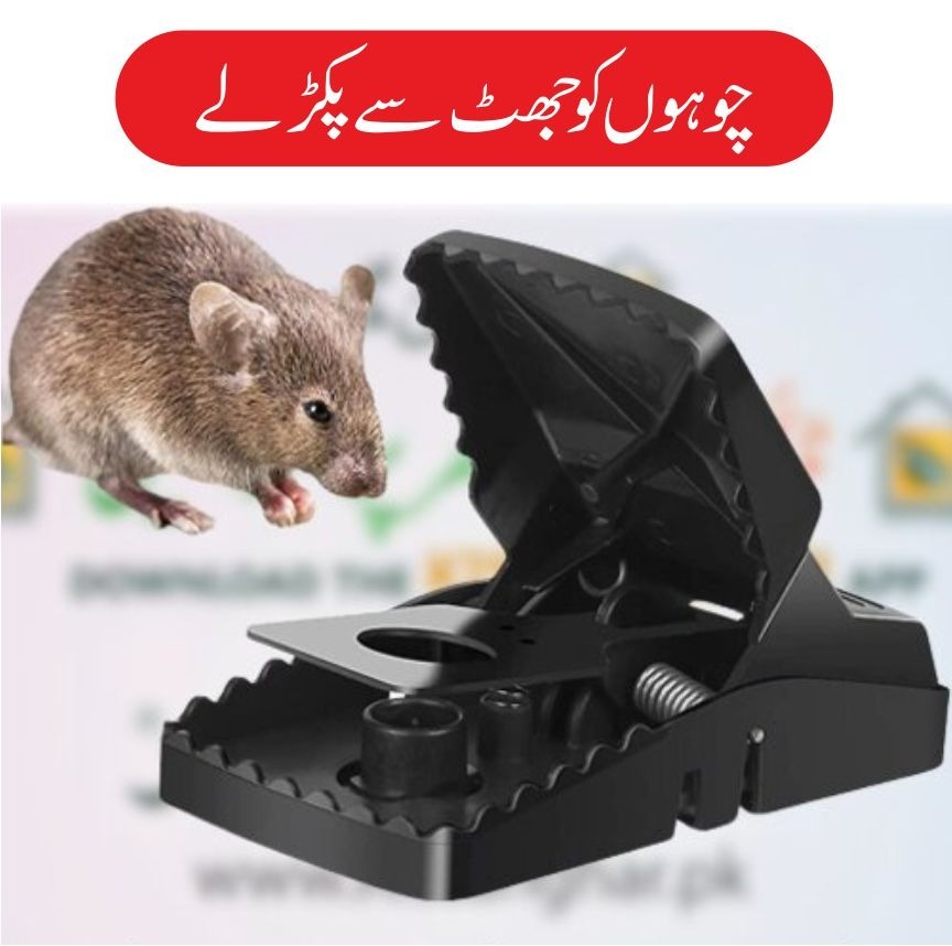 Mouse Trap